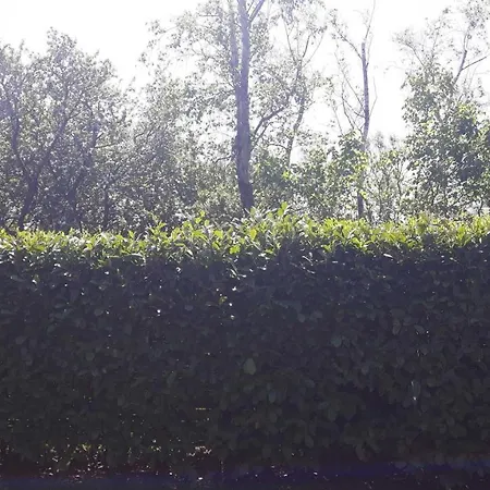 Deichblick-spo Ferienhaus *